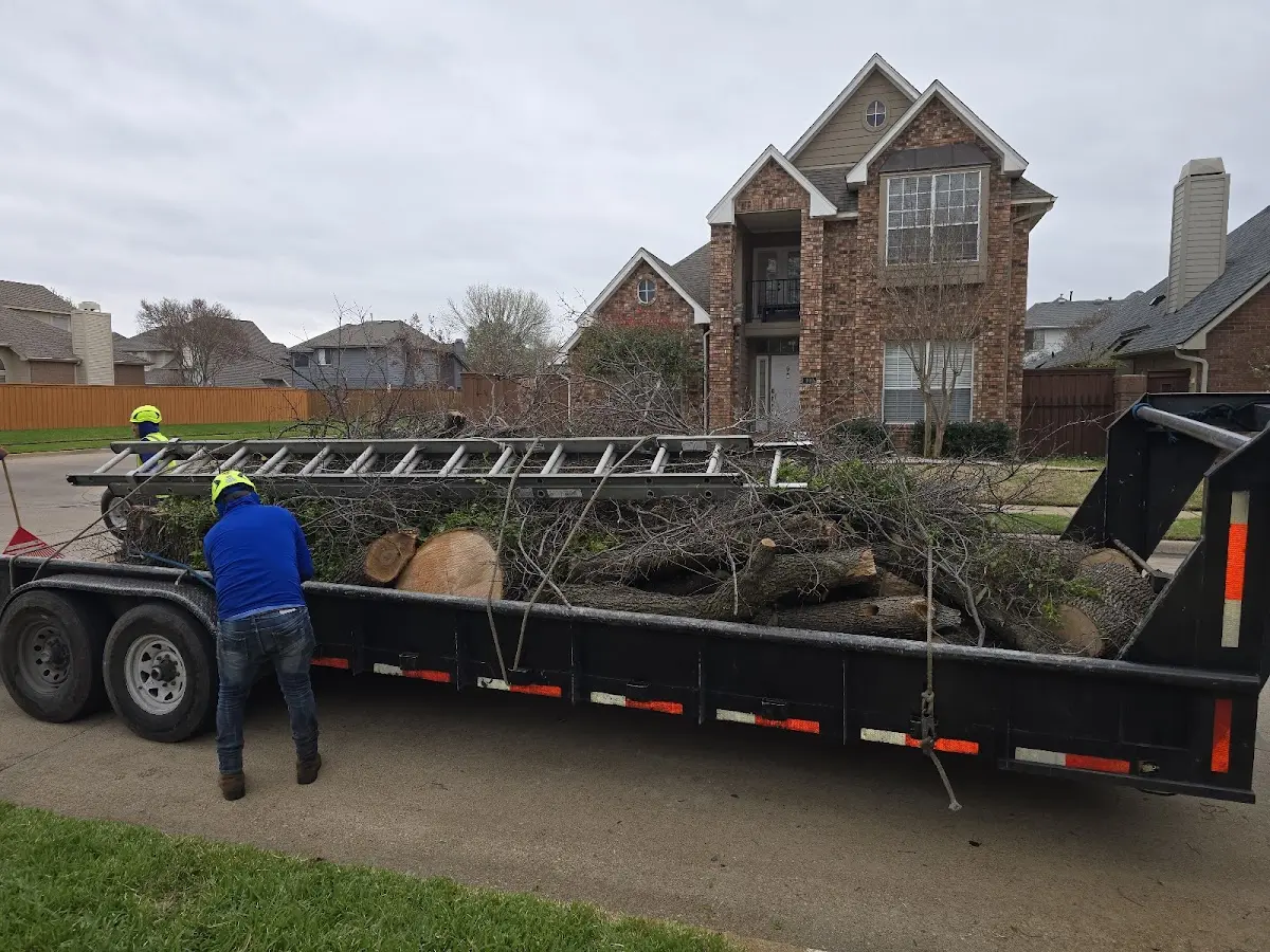 Expert Tree Fertilization with proper safety equipment in Pittsville
